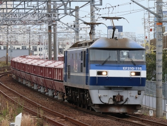 JR貨物 EF210形 EF210-116 鉄道フォト・写真 by Yの人さん 枇杷島駅 (JR)：2022年10月25日10時ごろ