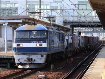 JR貨物 EF210形 EF210-323 鉄道フォト・写真 by Yの人さん 枇杷島駅 (JR)：2022年11月02日15時ごろ