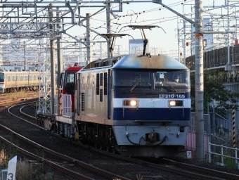JR貨物 EF210形 EF210-169 鉄道フォト・写真 by Yの人さん 枇杷島駅 (JR)：2022年11月02日15時ごろ