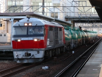 JR貨物 DF200形 DF200-206 鉄道フォト・写真 by Yの人さん 枇杷島駅 (JR)：2022年11月02日16時ごろ