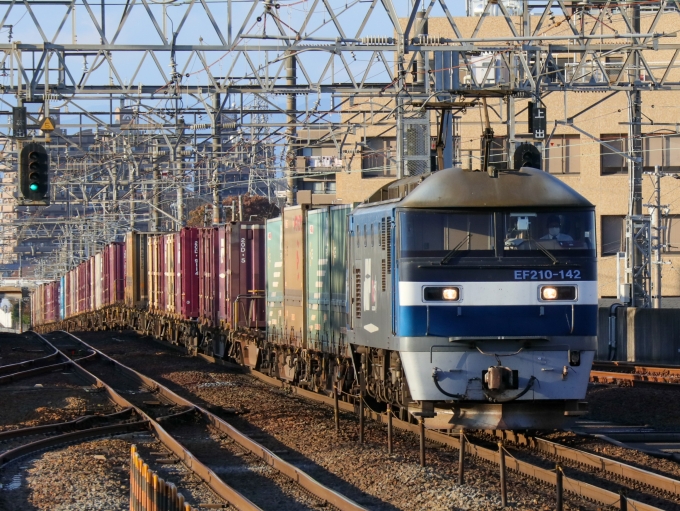 鉄道フォト・写真：JR貨物EF210形電気機関車 EF210-142 尾張一宮駅 鉄道フォト・写真 by Yの人さん - 撮影日 2022/11/15 15:42