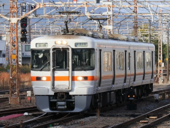 JR東海 クモハ313形 クモハ313-3019 鉄道フォト・写真 by Yの人さん 大垣駅 (JR)：2022年11月22日08時ごろ