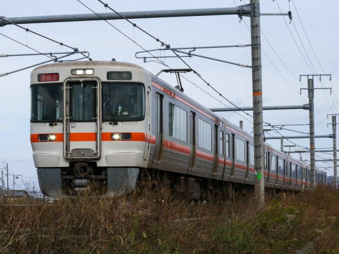 JR東海 313系 鉄道フォト・写真 by Yの人さん 木曽川駅：2022年11月30日10時ごろ