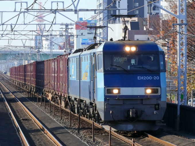 JR貨物 EH200形 EH200-20 鉄道フォト・写真 by Yの人さん 鶴舞駅 (JR)：2022年12月09日09時ごろ