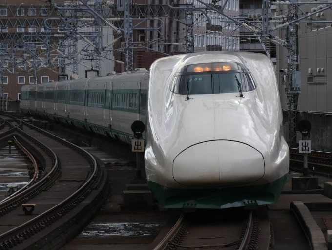JR東日本 E224形(T2c) やまびこ(新幹線) E224-1116 鉄道フォト・写真 by Yの人さん 仙台駅 (JR)：2022年12月30日11時ごろ