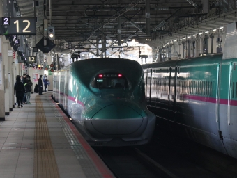 JR東日本 E523形(T1c) はやぶさ(新幹線) E523-31 鉄道フォト・写真 by Yの人さん 仙台駅 (JR)：2023年01月02日13時ごろ