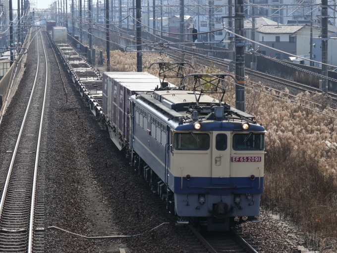 鉄道フォト・写真：JR貨物 国鉄EF65形電気機関車 EF65-2091 尾張一宮駅 鉄道フォト・写真 by Yの人さん - 撮影日 2023/01/07 11:20