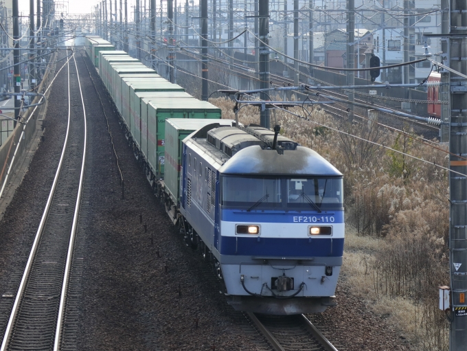 鉄道フォト・写真：JR貨物EF210形電気機関車 EF210-110 尾張一宮駅 鉄道フォト・写真 by Yの人さん - 撮影日 2023/01/07 12:20