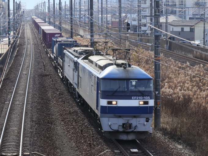 鉄道フォト・写真：JR貨物EF210形電気機関車 EF210-105 尾張一宮駅 鉄道フォト・写真 by Yの人さん - 撮影日 2023/01/18 10:20