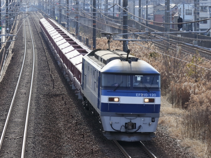 鉄道フォト・写真：JR貨物EF210形電気機関車 EF210-120 尾張一宮駅 鉄道フォト・写真 by Yの人さん - 撮影日 2023/01/18 10:48