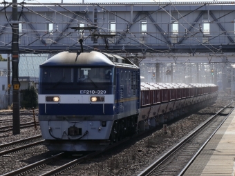 JR貨物 EF210形 EF210-329 鉄道フォト・写真 by Yの人さん 清洲駅：2023年01月28日10時ごろ