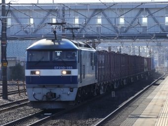 JR貨物 EF210形 EF210-165 鉄道フォト・写真 by Yの人さん 清洲駅：2023年01月31日09時ごろ