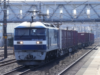 JR貨物 EF210形 EF210-157 鉄道フォト・写真 by Yの人さん 清洲駅：2023年01月31日10時ごろ