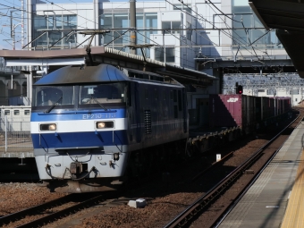 JR貨物 EF210形 EF210-113 鉄道フォト・写真 by Yの人さん 枇杷島駅 (JR)：2023年01月31日11時ごろ