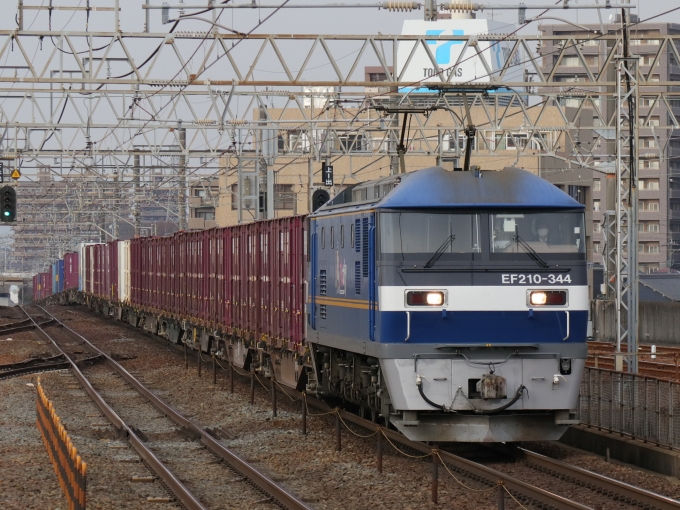 鉄道フォト・写真：JR貨物EF210形電気機関車 EF210-344 尾張一宮駅 鉄道フォト・写真 by Yの人さん - 撮影日 2023/02/01 15:29