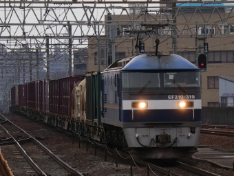JR貨物 EF210形 EF210-319 鉄道フォト・写真 by Yの人さん 尾張一宮駅：2023年02月01日16時ごろ