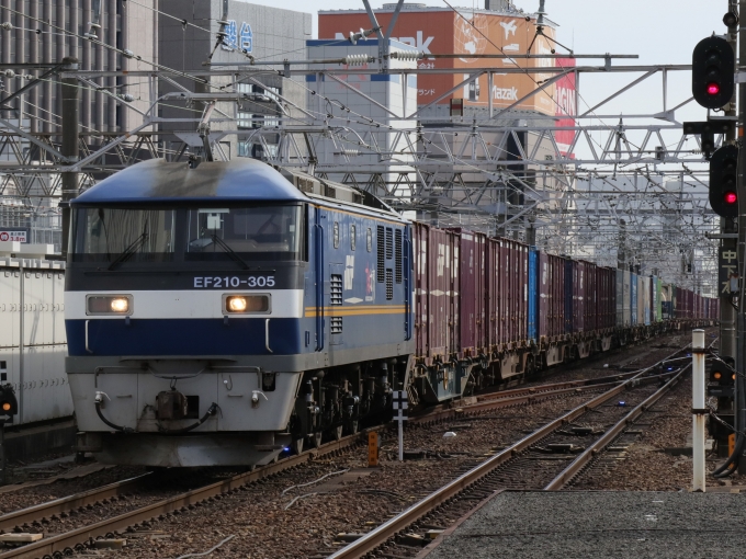 鉄道フォト・写真：JR貨物EF210形電気機関車 EF210-305 名古屋駅 (JR) 鉄道フォト・写真 by Yの人さん - 撮影日 2023/02/02 13:34