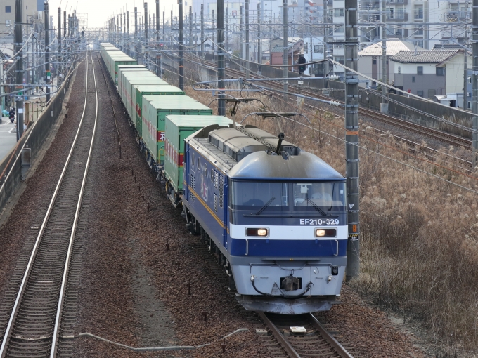 鉄道フォト・写真：JR貨物EF210形電気機関車 EF210-329 尾張一宮駅 鉄道フォト・写真 by Yの人さん - 撮影日 2023/02/08 11:05