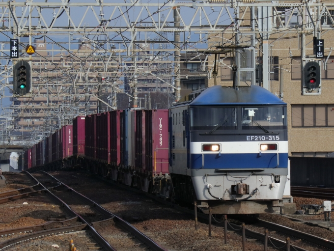 鉄道フォト・写真：JR貨物EF210形電気機関車 EF210-315 尾張一宮駅 鉄道フォト・写真 by Yの人さん - 撮影日 2023/02/07 08:49