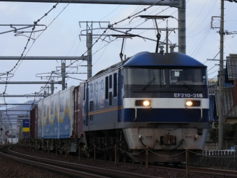JR貨物 EF210形 EF210-318 鉄道フォト・写真 by Yの人さん 木曽川駅：2023年02月14日15時ごろ