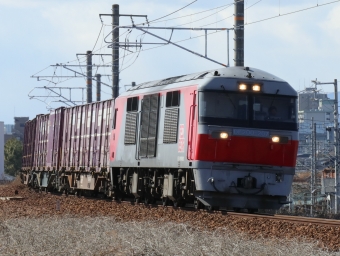 JR貨物 DF200形 DF200-207 鉄道フォト・写真 by Yの人さん 八田駅 (JR)：2023年02月21日13時ごろ