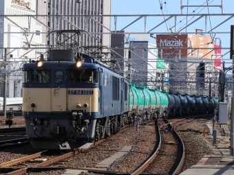 JR貨物 国鉄EF64形電気機関車 EF64-1021 鉄道フォト・写真 by Yの人さん 名古屋駅 (JR)：2023年03月02日14時ごろ