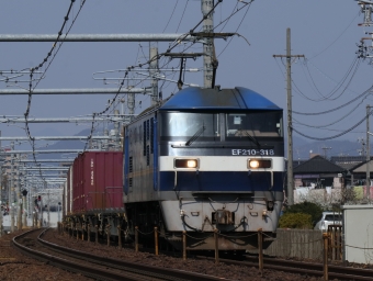JR貨物 EF210形 EF210-318 鉄道フォト・写真 by Yの人さん 木曽川駅：2023年03月07日12時ごろ