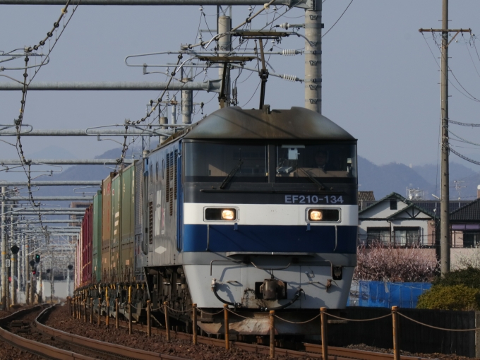 JR貨物 EF210形 EF210-134 鉄道フォト・写真 by Yの人さん 木曽川駅：2023年03月07日15時ごろ