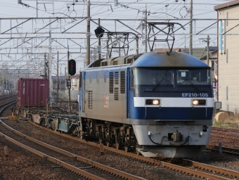 JR貨物 EF210形 EF210-105 鉄道フォト・写真 by Yの人さん 清洲駅：2023年03月08日15時ごろ