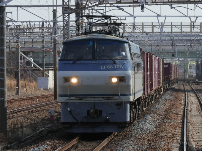 JR貨物 国鉄EF66形電気機関車 EF66-128 鉄道フォト・写真 by Yの人さん 熱田駅：2023年03月11日14時ごろ