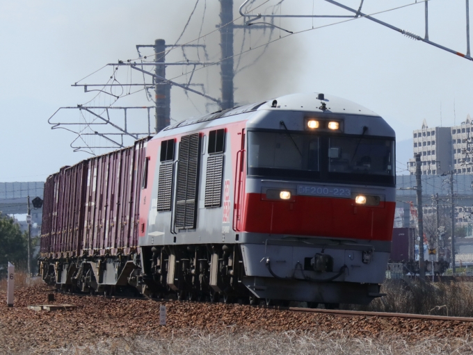 JR貨物 DF200形 DF200-223 鉄道フォト・写真 by Yの人さん 八田駅 (JR)：2023年03月15日13時ごろ