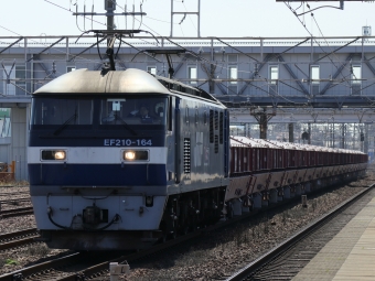JR貨物 EF210形 EF210-164 鉄道フォト・写真 by Yの人さん 清洲駅：2023年03月22日10時ごろ