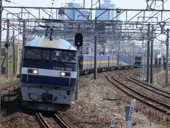 JR貨物 EF210形 EF210-308 鉄道フォト・写真 by Yの人さん 枇杷島駅 (JR)：2023年03月22日12時ごろ