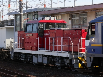 JR貨物 HD300形 HD300-33 鉄道フォト・写真 by Yの人さん 枇杷島駅 (JR)：2023年03月29日15時ごろ