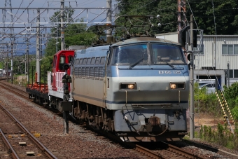 JR貨物 国鉄EF66形電気機関車 EF66-125 鉄道フォト・写真 by Yの人さん 米原駅 (JR)：2023年07月26日13時ごろ