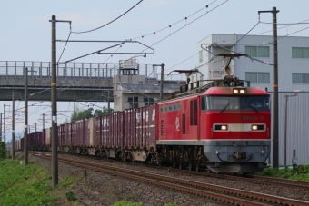 JR貨物 EF510形 EF510-3 鉄道フォト・写真 by Yの人さん 米原駅 (JR)：2023年07月26日15時ごろ