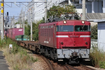 JR貨物 国鉄ED76形電気機関車 ED76-81 鉄道フォト・写真 by Yの人さん 竹下駅：2023年11月07日11時ごろ