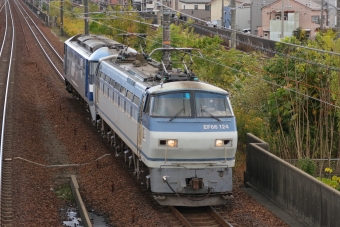 JR貨物 国鉄EF66形電気機関車 EF66-124 鉄道フォト・写真 by Yの人さん 尾張一宮駅：2023年11月18日12時ごろ