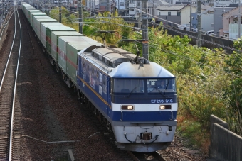 JR貨物 EF210形 EF210-316 鉄道フォト・写真 by Yの人さん 尾張一宮駅：2023年11月18日12時ごろ