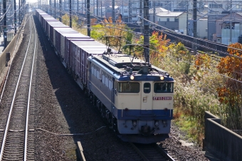 JR貨物 国鉄EF65形電気機関車 EF65-2080 鉄道フォト・写真 by Yの人さん 尾張一宮駅：2023年12月06日11時ごろ