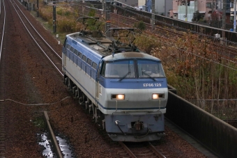JR貨物 国鉄EF66形電気機関車 EF66-129 鉄道フォト・写真 by Yの人さん 尾張一宮駅：2023年12月16日12時ごろ