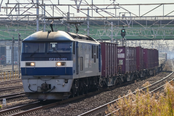JR貨物 EF210形 EF210-161 鉄道フォト・写真 by Yの人さん 稲沢駅：2023年12月27日10時ごろ