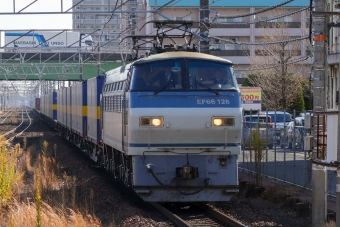 JR貨物 国鉄EF66形電気機関車 EF66-126 鉄道フォト・写真 by Yの人さん 稲沢駅：2023年12月27日12時ごろ