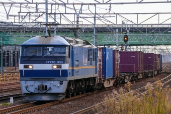 JR貨物 EF210形 EF210-339 鉄道フォト・写真 by Yの人さん 稲沢駅：2023年12月27日13時ごろ