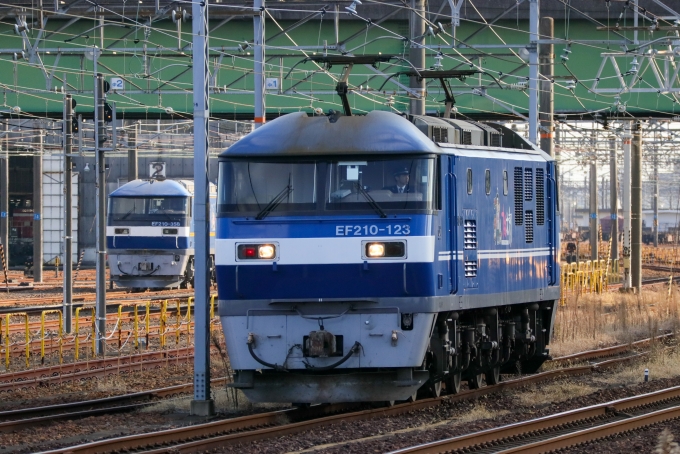 JR貨物 EF210形 EF210-123 鉄道フォト・写真 by Yの人さん 稲沢駅：2023年12月27日13時ごろ