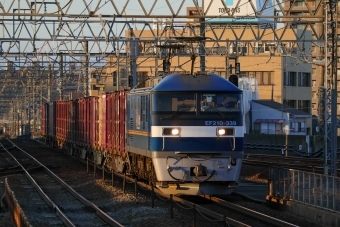 JR貨物 EF210形 EF210-339 鉄道フォト・写真 by Yの人さん 尾張一宮駅：2023年12月27日16時ごろ