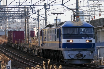 JR貨物 EF210形 EF210-338 鉄道フォト・写真 by Yの人さん 枇杷島駅 (JR)：2024年01月30日15時ごろ