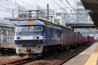 JR貨物 EF210形 EF210-16 鉄道フォト・写真 by Yの人さん 枇杷島駅 (JR)：2024年02月06日13時ごろ
