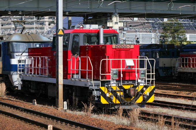 JR貨物 HD300形 HD300-7 鉄道フォト・写真 by Yの人さん 稲沢駅：2024年02月28日10時ごろ