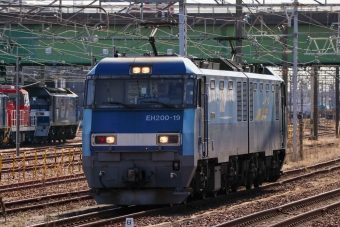 JR貨物 EH200形 EH200-19 鉄道フォト・写真 by Yの人さん 稲沢駅：2024年02月28日11時ごろ